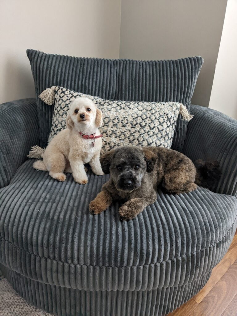 Jessica Rustige Pillar IP