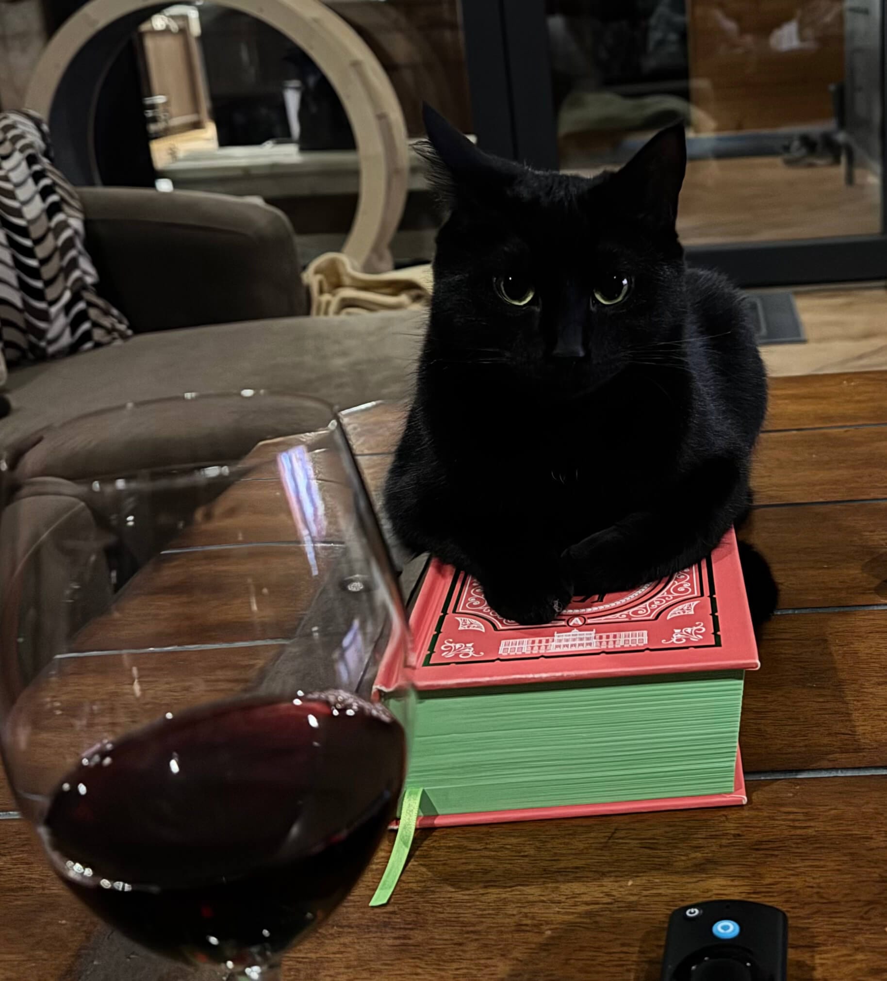 Winky – Editor-in-Chief, IP Correspondence